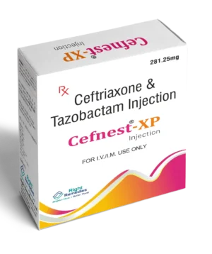 Cefnest <sup>&reg;</sup> - XP