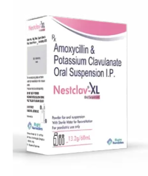 Nestclav<sup>&reg;</sup> - XL